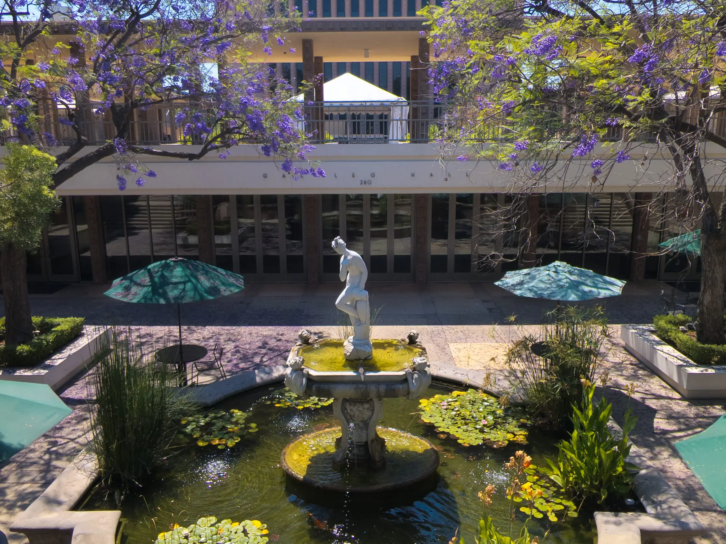 Fountain surrounded by Jacaranda trees at Harvey Mudd College