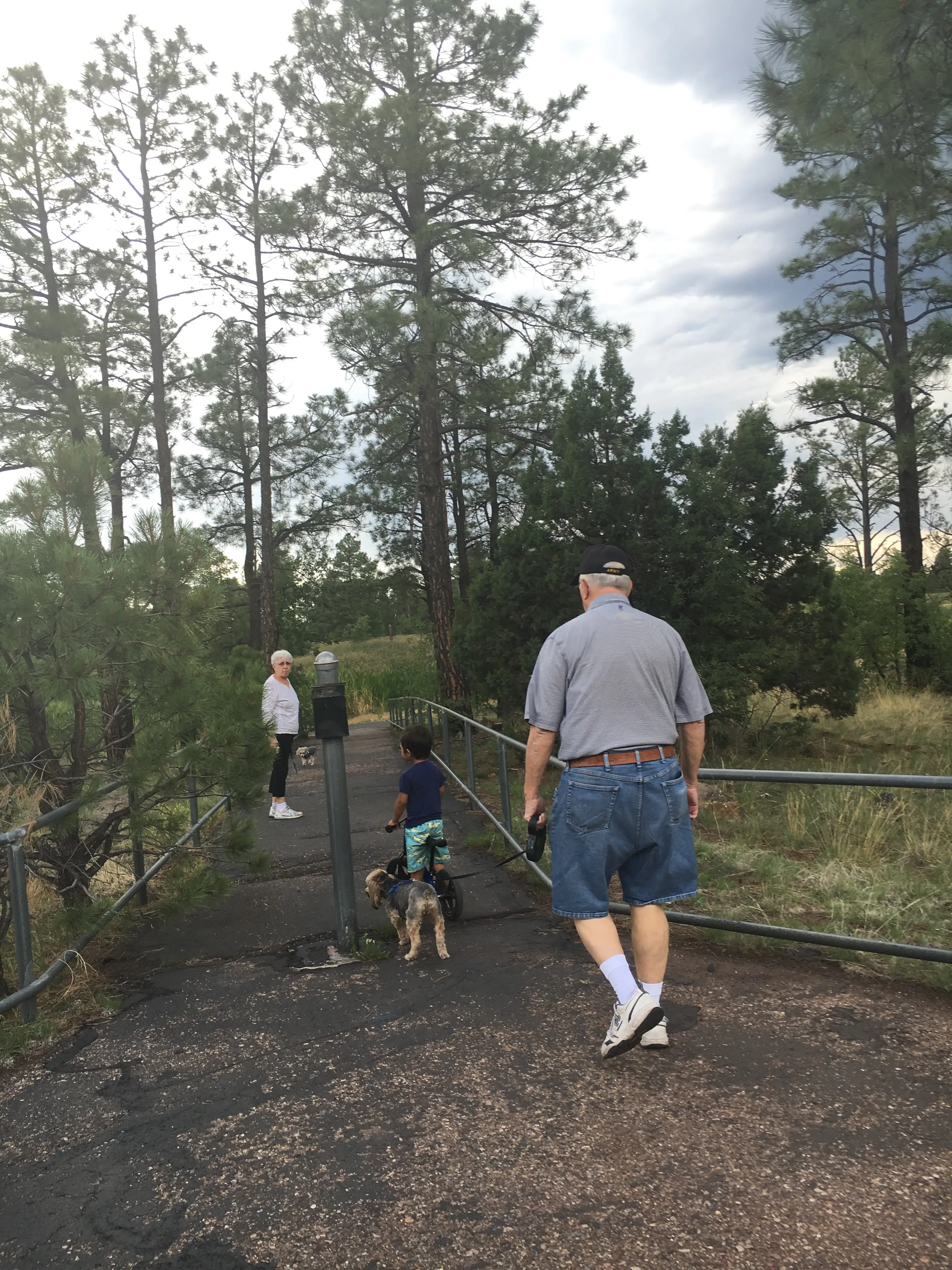 The author's grandparents walking with a dog and her son.