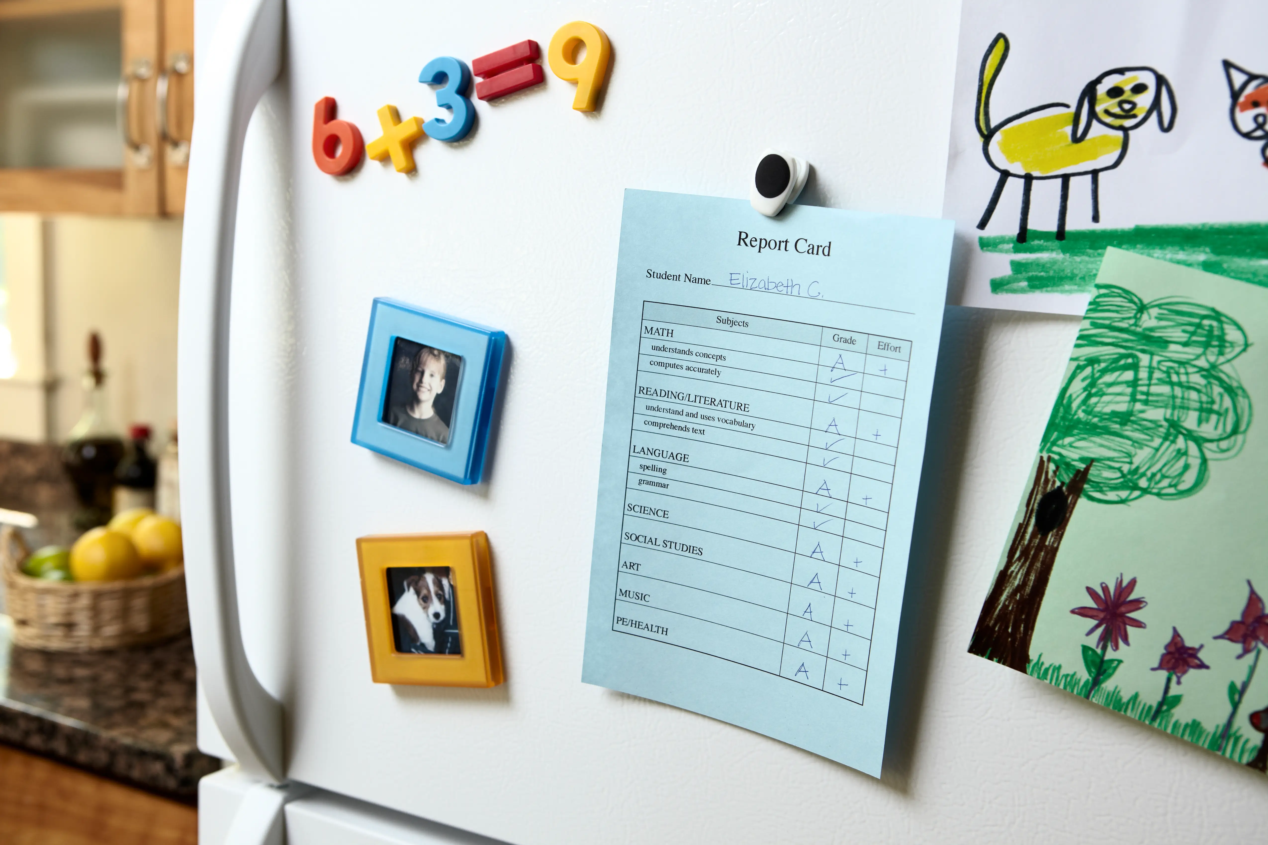 A blue report card is displayed on a white fridge.