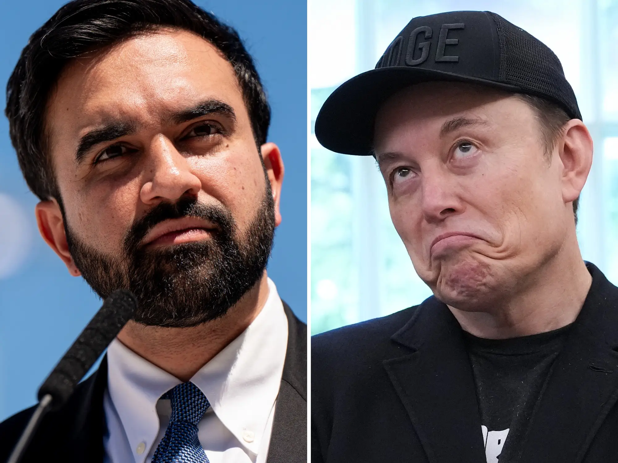 mamdani and musk