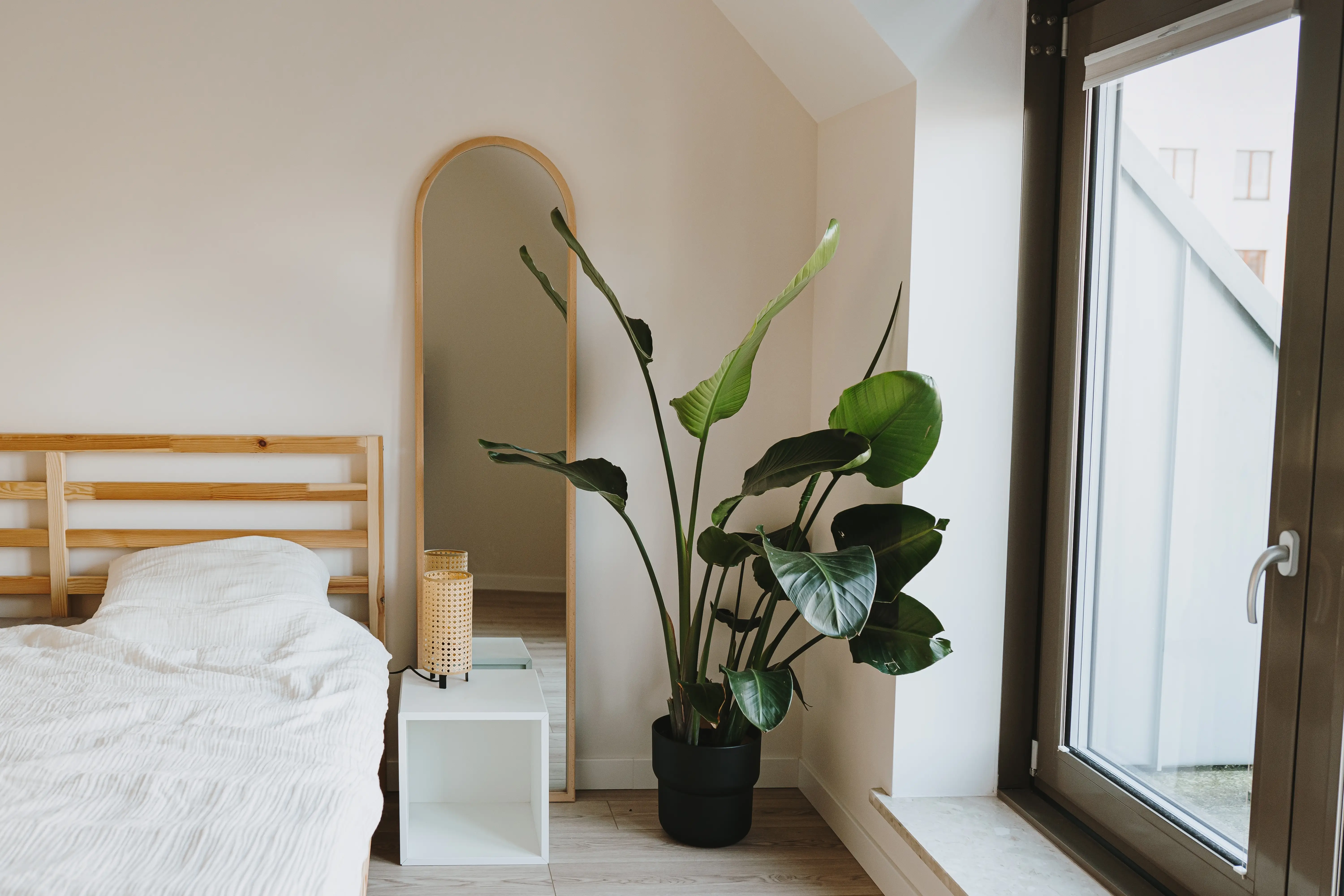 Minimal room with arched mirror, plant