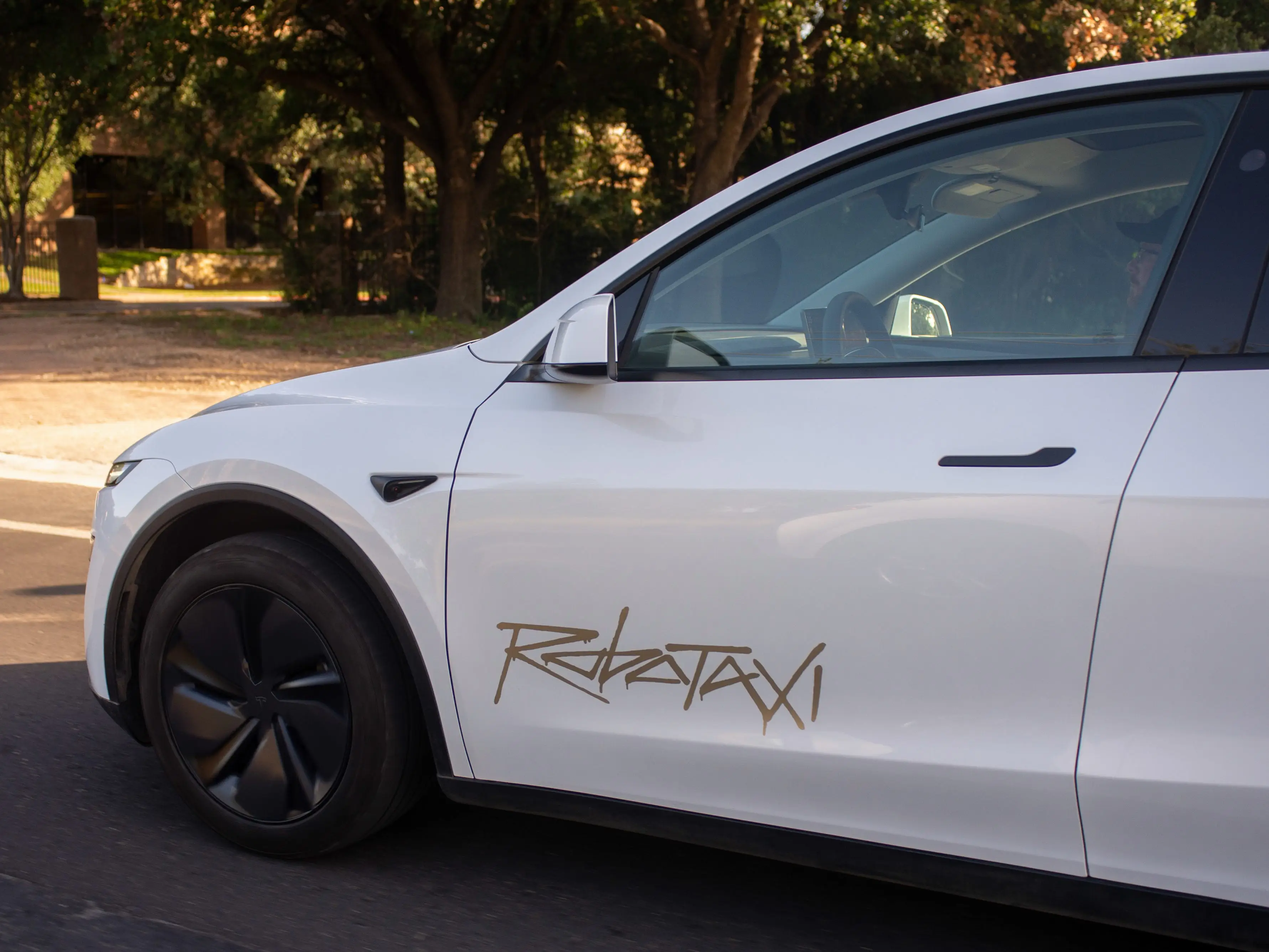 Tesla's robotaxi.