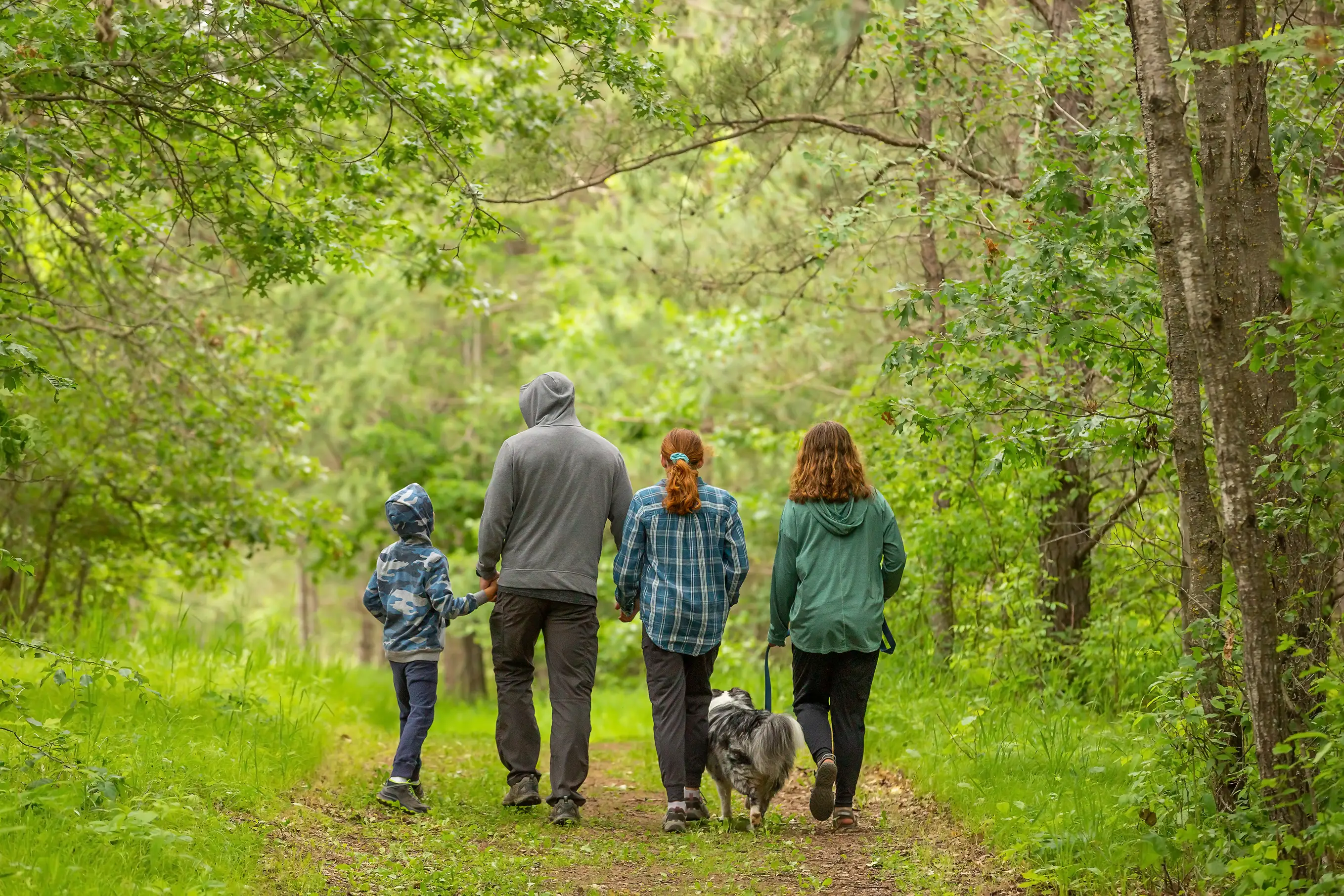 A family hiking in a park with a dog.