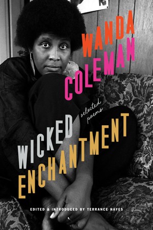 The cover of Wicked Enchantment