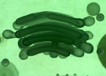 A Whistleblower Claims the CIA Is Searching DNA Sites for Alien-Human Hybrids