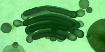 A Whistleblower Claims the CIA Is Searching DNA Sites for Alien-Human Hybrids
