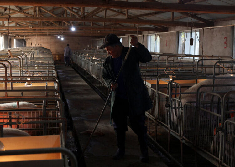 What Plunging Pork Prices Say About China’s Economy