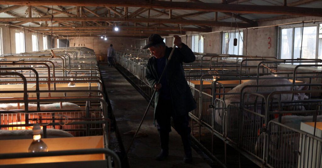 What Plunging Pork Prices Say About China’s Economy