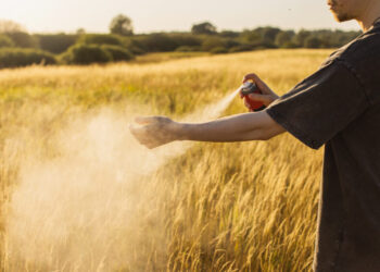 How mosquito experts protect themselves in the summer