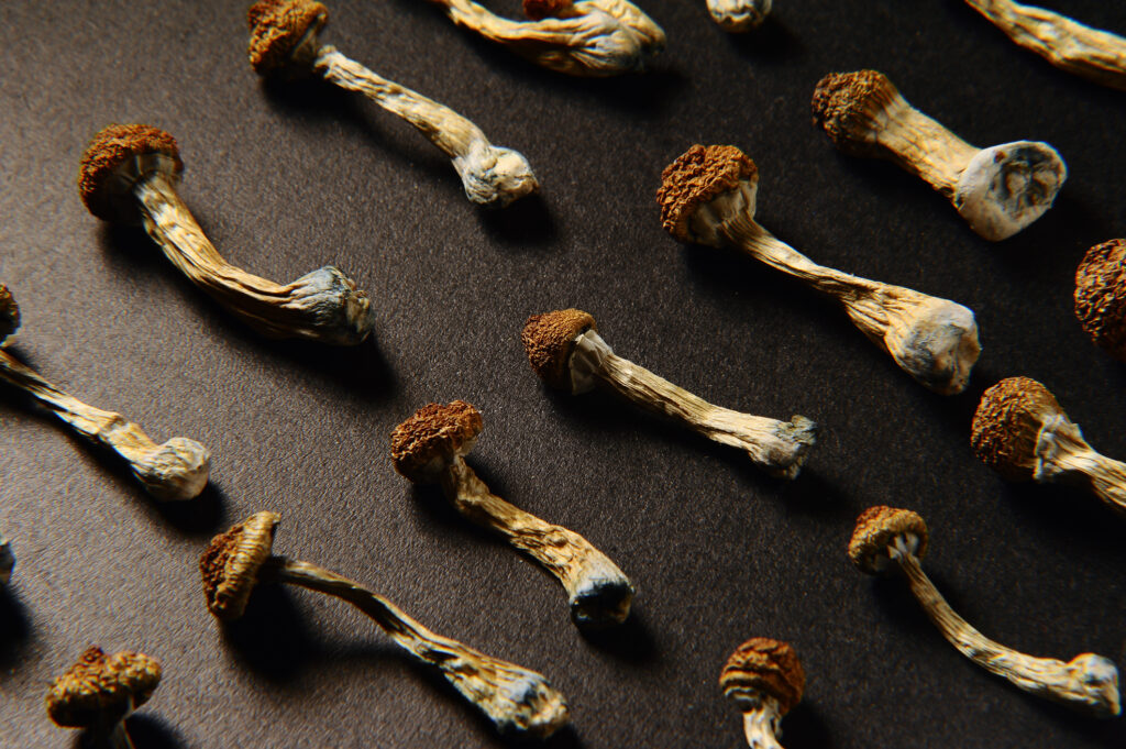 How Republicans came to embrace psychedelic drugs