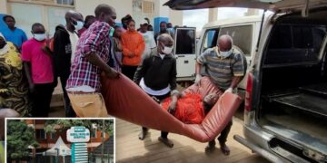 WHO sounds global alarm over ‘extraordinary’ Ebola strain spreading through central Africa