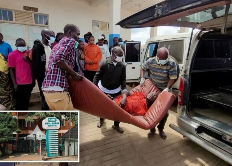 WHO sounds global alarm over ‘extraordinary’ Ebola strain spreading through central Africa