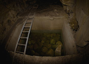 Everything We Know About the 2,300-Year-Old Beer Found Inside an Ancient Tomb