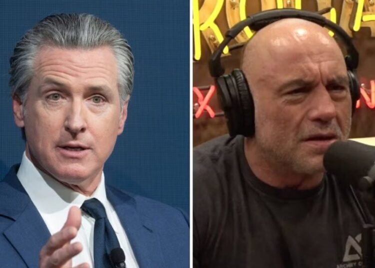 Gavin Newsom Hits Back at ‘Little Guy’ Joe Rogan After Podcaster Called Him ‘a Cardboard Cutout of a Person’