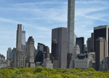 NYC is full of undiscovered species — and we’ve hatched a plan to find one