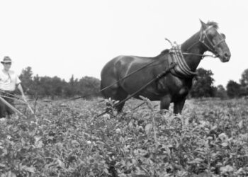 BofA throws cold water on AI apocalypse panic: 60% of today’s jobs didn’t exist in 1940