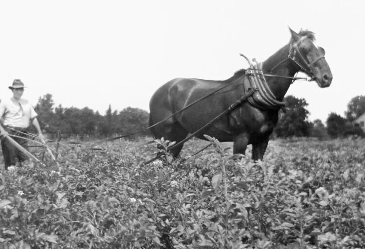 BofA throws cold water on AI apocalypse panic: 60% of today’s jobs didn’t exist in 1940