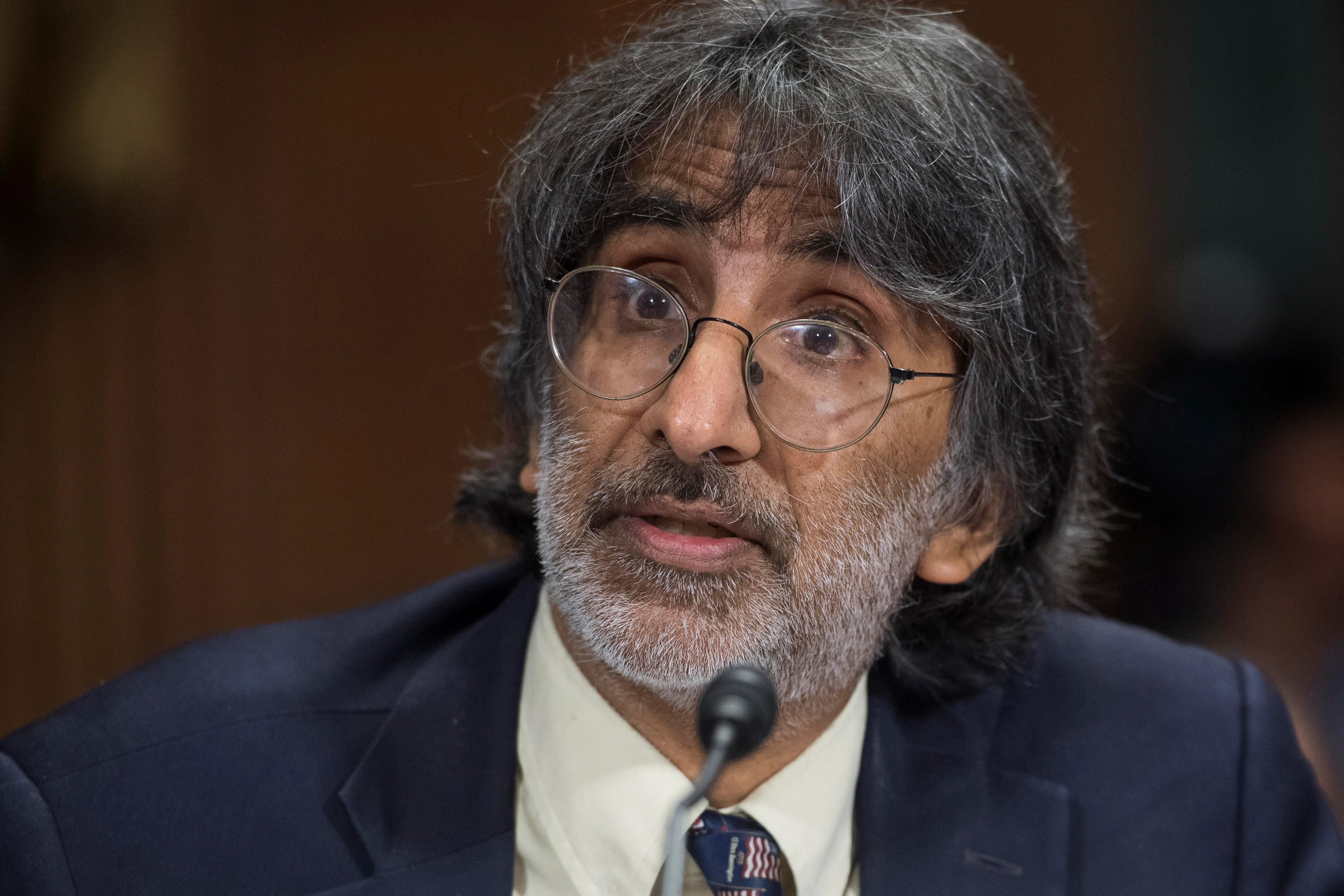 Yale law professor Akhil Reed Amar testifies during a Senate Judiciary Committee hearing in 2017 Yale law professor Akhil Reed Amar testifies during a Senate Judiciary Committee hearing in 2017