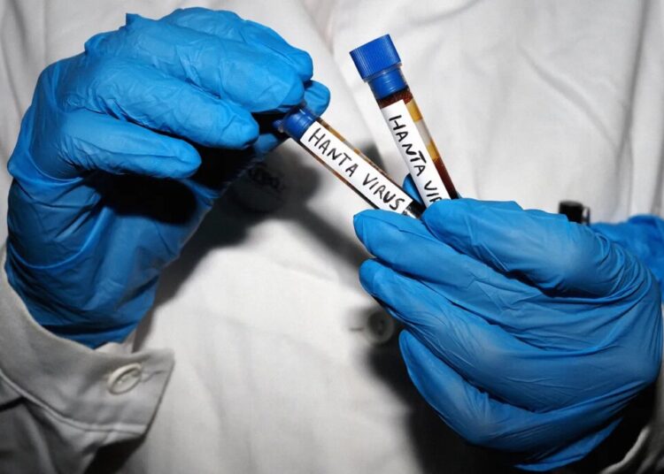 All Your Hantavirus Questions, Answered by an Infectious Disease Expert