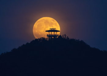 How to Harness the Chaotic Healing Energy of Tonight’s Scorpio Full Moon