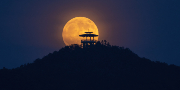 How to Harness the Chaotic Healing Energy of Tonight’s Scorpio Full Moon