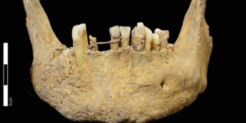 Archaeologists Found a Medieval Skeleton With Something Strange in Its Jaws