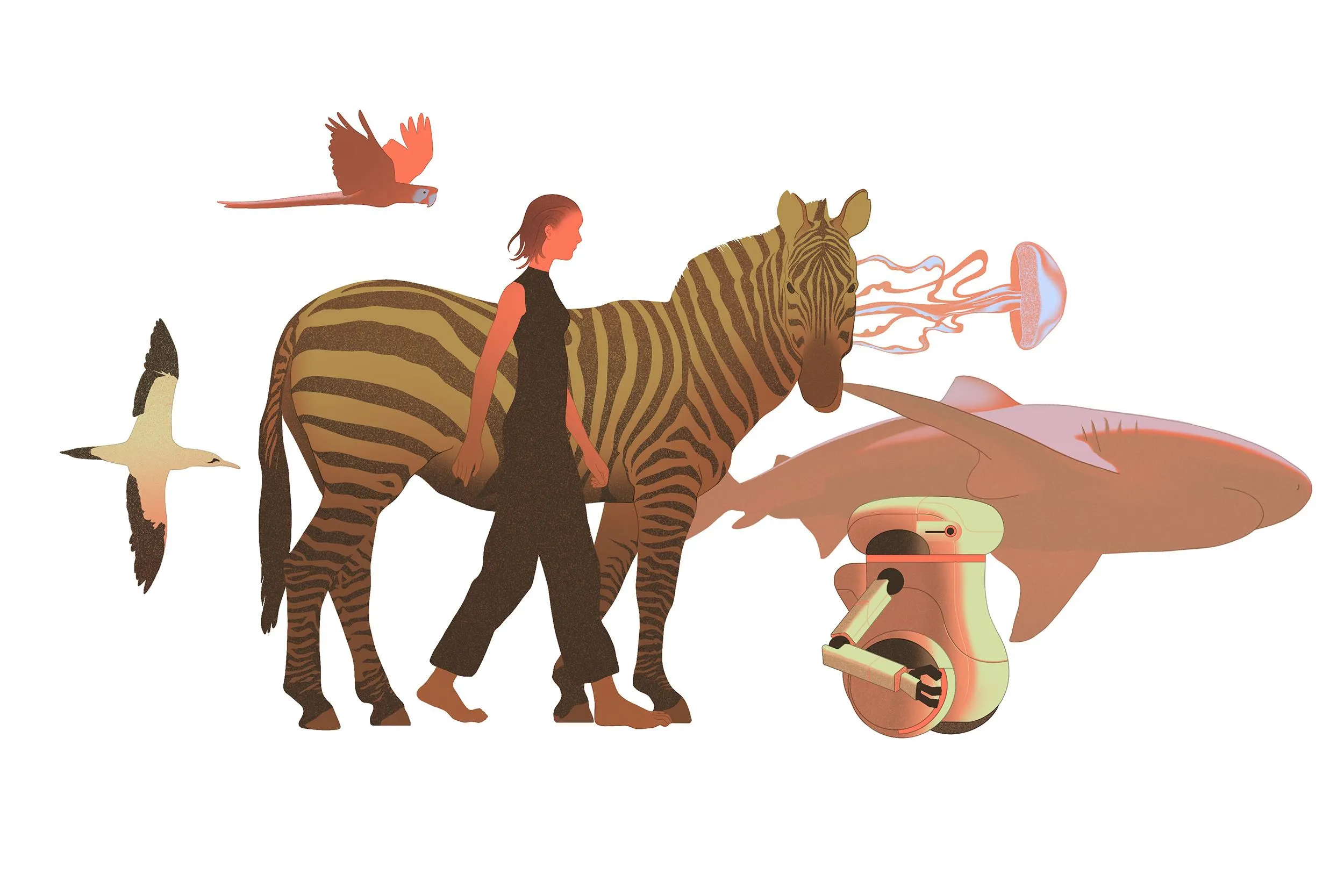 A woman walks alongside a zebra, parrot, seagull, floating jellyfish, shark, and a robot A woman walks alongside a zebra, parrot, seagull, floating jellyfish, shark, and a robot