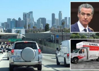 Gavin Newsom torn to shreds over his report on California’s population: ‘He’s blatantly lying’