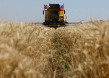 Grain sales deepen wedge between Ukraine, Israel even as they fight allied enemies