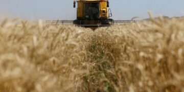 Grain sales deepen wedge between Ukraine, Israel even as they fight allied enemies