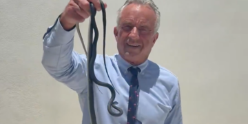 RFK Jr. is now handling snakes. What does this mean?