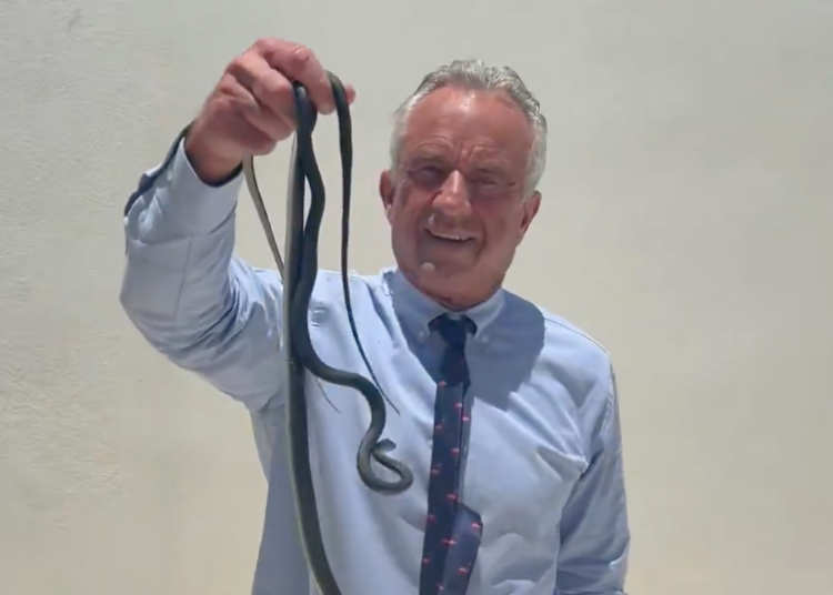 RFK Jr. is now handling snakes. What does this mean?