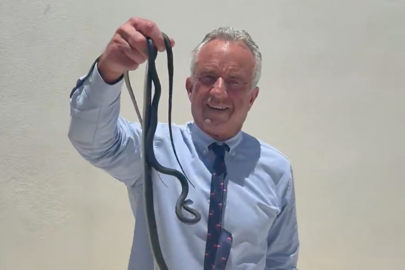 RFK Jr. is now handling snakes. What does this mean?