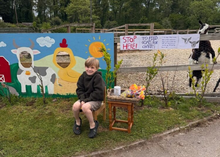 A 6-year-old raised over $15K for pet shelters after his dog died