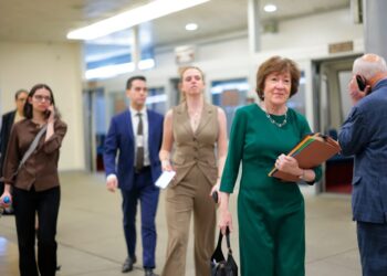 Janet Mills stood up to Trump. Democratic voters shrugged.