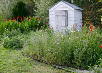 Forget a cup of sugar. These neighbors asked to borrow the backyard.