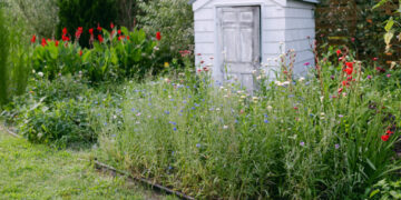 Forget a cup of sugar. These neighbors asked to borrow the backyard.