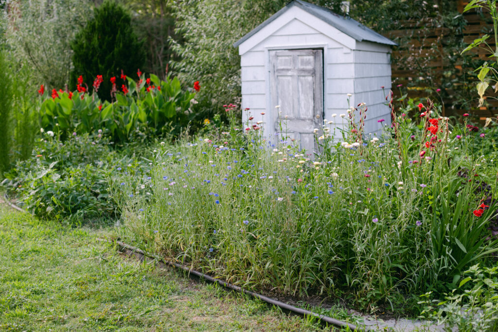 Forget a cup of sugar. These neighbors asked to borrow the backyard.