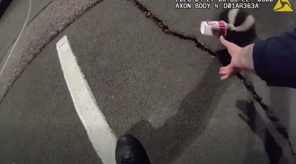 Body camera footage shows a hand reaching towards a skunk near a discarded cup on the asphalt.