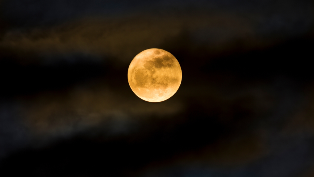 The Full Flower Moon in Scorpio Is Coming to Make You Feel Everything