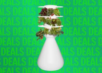 This Eye-Catching Indoor Garden Is 20 Percent Off Right Now
