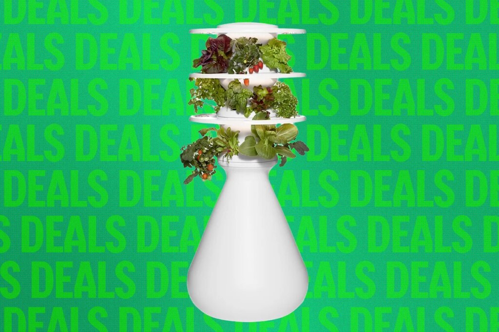 This Eye-Catching Indoor Garden Is 20 Percent Off Right Now