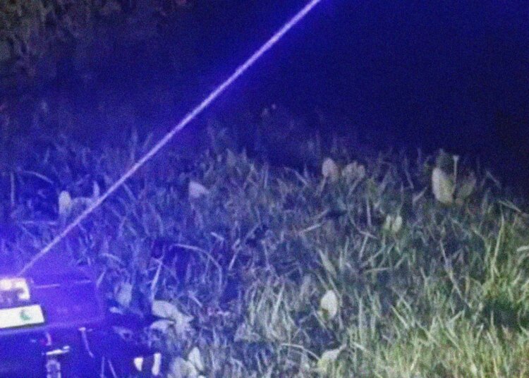 This Guy Built a Personal Mosquito Defense System That Shoots Bugs With Real Lasers