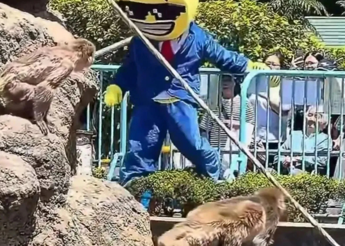 Two Americans Were Arrested After a Memecoin Stunt Terrified Japan’s Favorite Internet Monkey