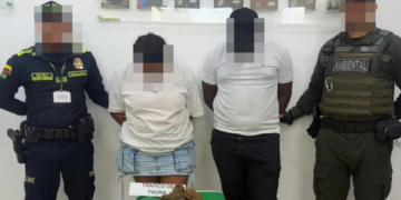 Two People Were Arrested for Allegedly Trying to Smuggle Baby Monkeys in Their Underwear