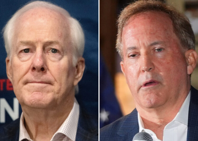 Texans go to the polls in Senate primary runoff that tests GOP establishment