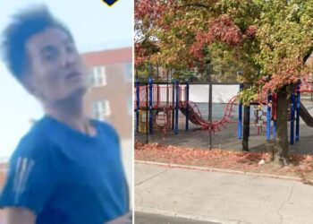 Sicko wanted for shoving group of children, choking 7-year-old boy in NYC park