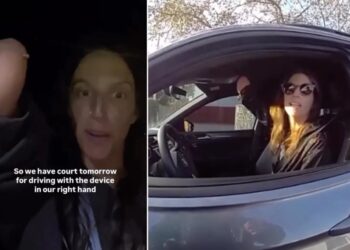Florida cop pulls over disabled, one-handed woman for holding cellphone while driving — but drops charges over ‘lack of evidence’