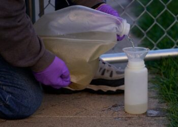 Want to detect opioids earlier? Test sewage water.
