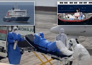 Unnerving gurney photo shows suspected hantavirus patient evacuated from doomed cruise ship